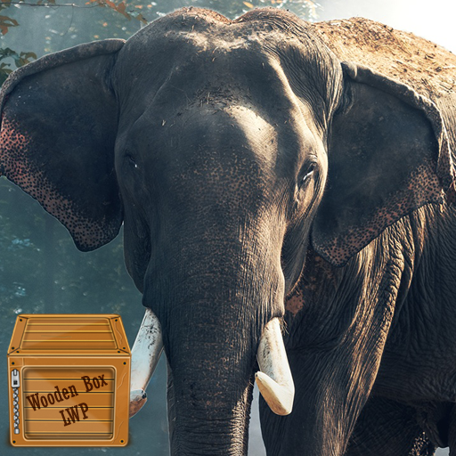 african elephant wallpaper logo