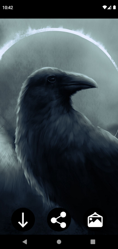 Android application Raven Wallpapers screenshort