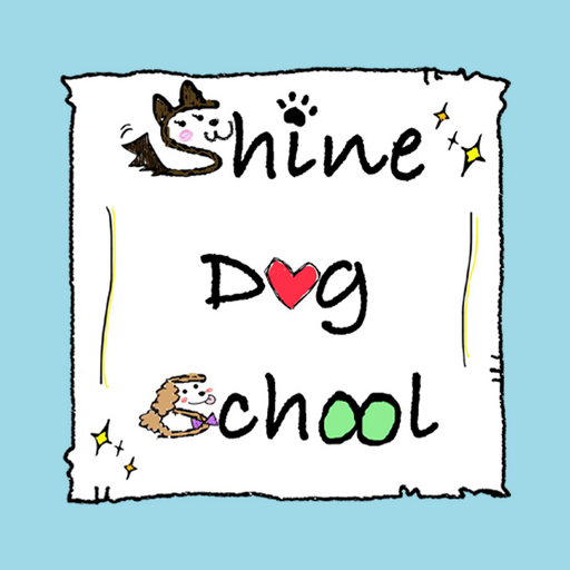 Shine Dog School logo