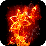 Beautiful Fire HD Wallpapers icon