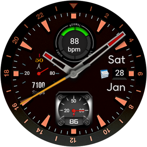 FSW217 WATCHFACE logo