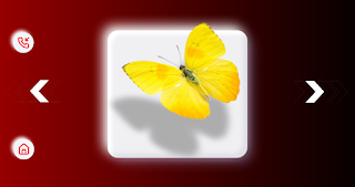 Карточки Demo - Screenshot 3