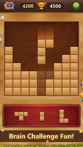 Wood Block Puzzle Classic 3