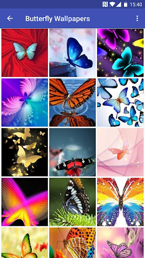 Butterfly Wallpapers التطبيقات على Google Play