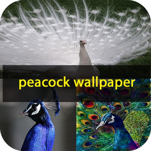 peacock wallpaper logo