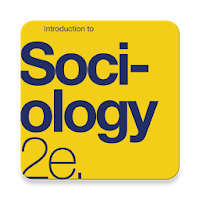 Introduction to Sociology Textbook MCQ Test Bank