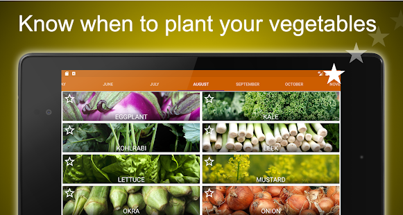 Planting calendar - vegetables
