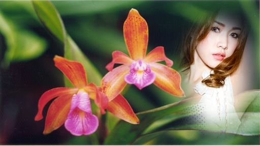 Android application orchid photo frames costume mo screenshort