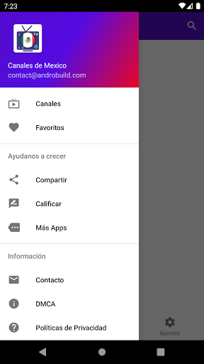 Television de Mexico - Canales