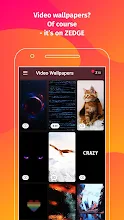 Zedge Wallpapers Ringtones Apps On Google Play