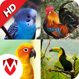 Icon image 100 Bird sounds