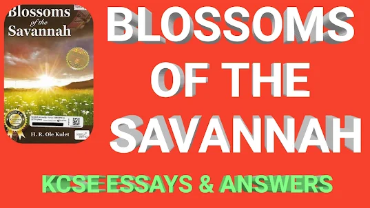 Blosom of Savanna essay answer