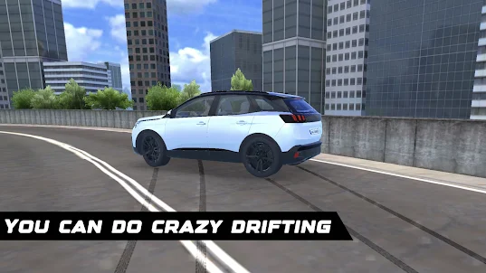 3008 Simulator: City Drive