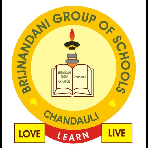 Brijnandini Convent School logo