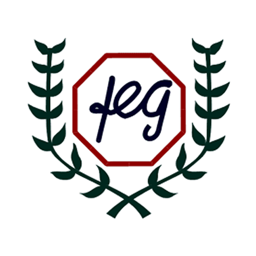 FEG 9.2 Icon