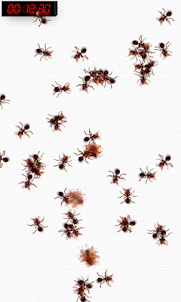 القاتل النمل