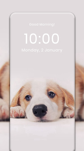 Dog HD Wallpaper Screen 3