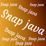 Snap Java (Java Interview question and answer) icon
