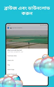 স্ক্রিনশটের ছবি