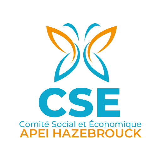 CSE APEI Hazebrouck logo