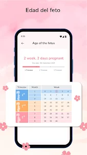 Calendario de Embarazo & Bebé