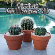 Top 27 Entertainment Apps Like Cactus Wallpaper HD - Best Alternatives
