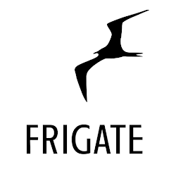 Frigate CCTV