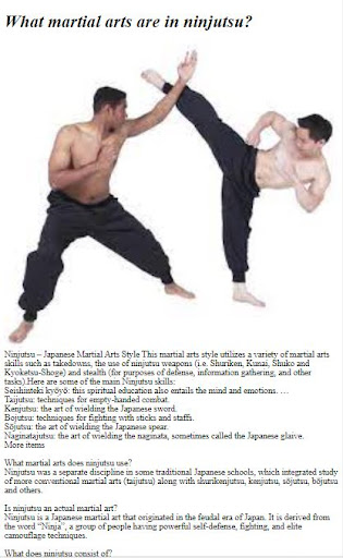 How to Do Ninjutsu Training Screen 2