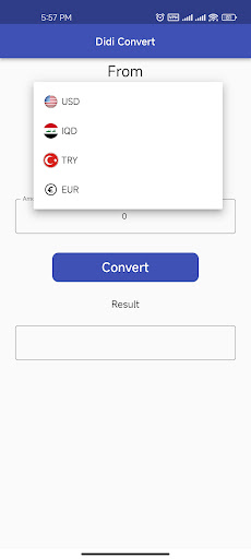 DiDi Convert Screen 2