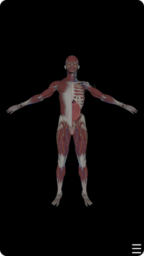 머슬매니악 :: 3D 해부학 Screen 3