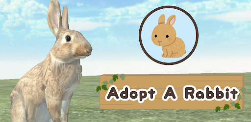 Adopt A Rabbit : Virtual Pet