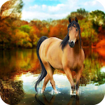 Cover Image of Download Horse Wallpaper  APK