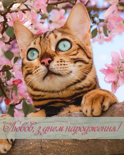 З Днем Народження Картинки