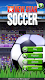 screenshot of New Star Soccer