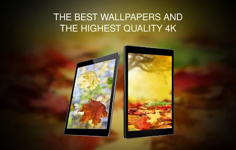 Green Leaf Live Wallpaper HD – Apps on Google Play