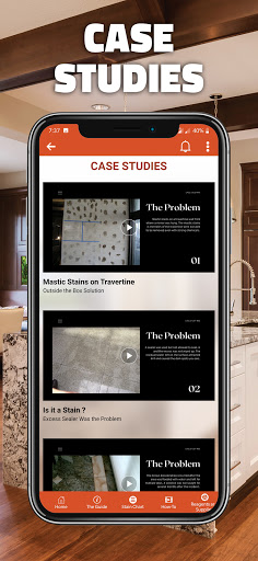 Stain Care Pro Screen 2