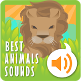 Best Animals Sounds icon