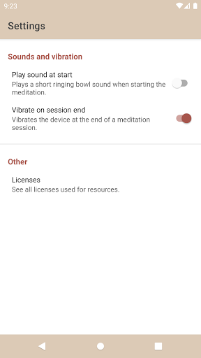 MindRise Screen 3