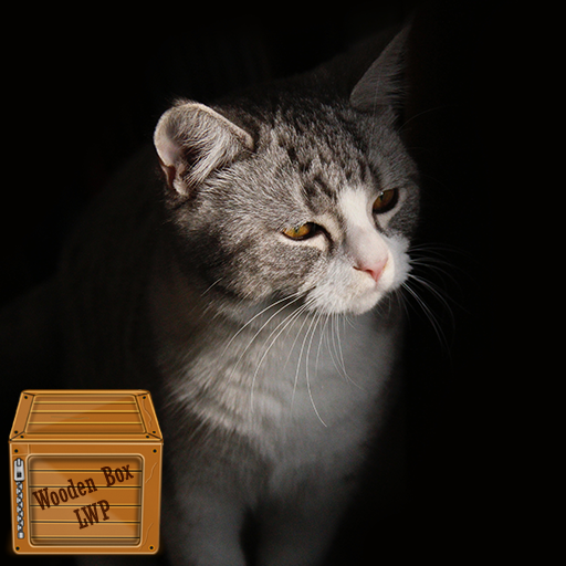 beautiful kitten wallpaper logo