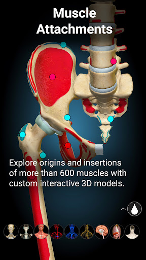 Anatomy Learning 3D v2.1.381 MOD APK (All Unlocked)