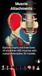 Anatomy Learning - 3D Anatomy  Screenshots 4