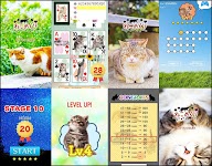screenshot of Cats Playing Card Games