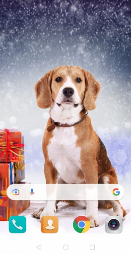 Dog cute wallpaper Screen 2