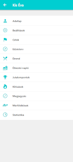 Kondizz