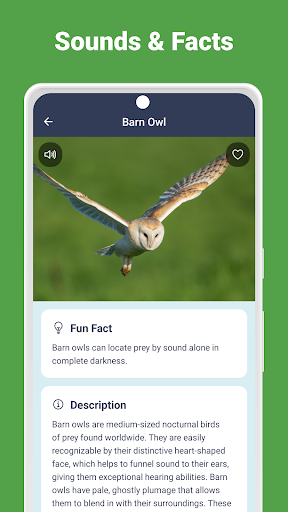 Animal Sounds screenshot 2