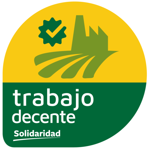 Trabajo decente logo
