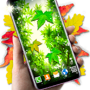 Leaves Live Wallpaper ? Spring Forest Themes