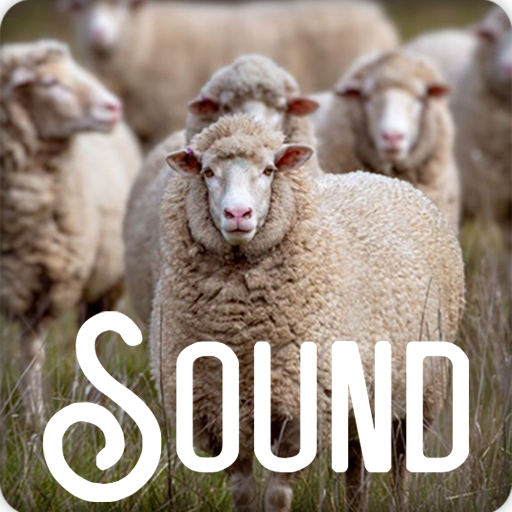 Sheep Soundboard Ringtones