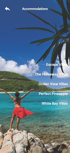 Visit BVI Screen 2