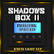 Shadows Box 2.0 Spirit Box